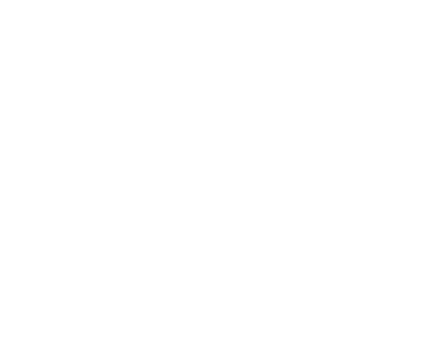 Logo Fly The Nest