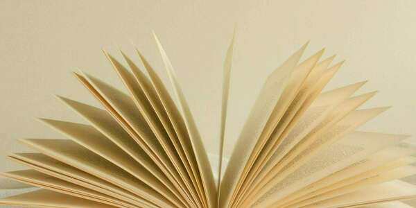 L’envers du décor : comment on a sorti un livre alors qu’on n’y connaissait rien