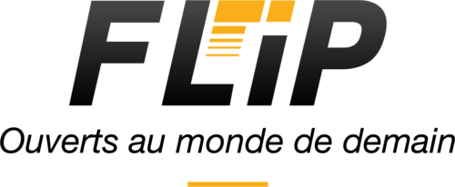Flip