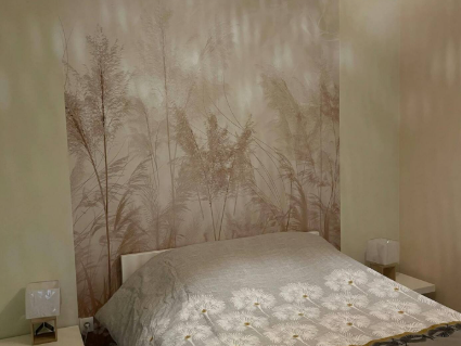 capture_d_ecran_2025-02-19_095740