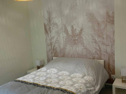 capture_d_ecran_2025-02-19_095719