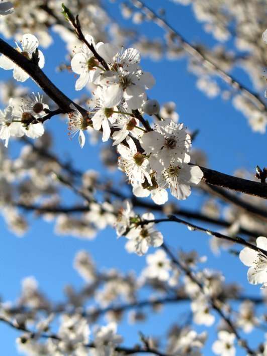 Le yoga et la pré-ménopause 