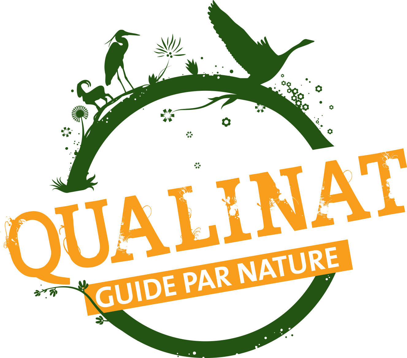 Sortie Nature