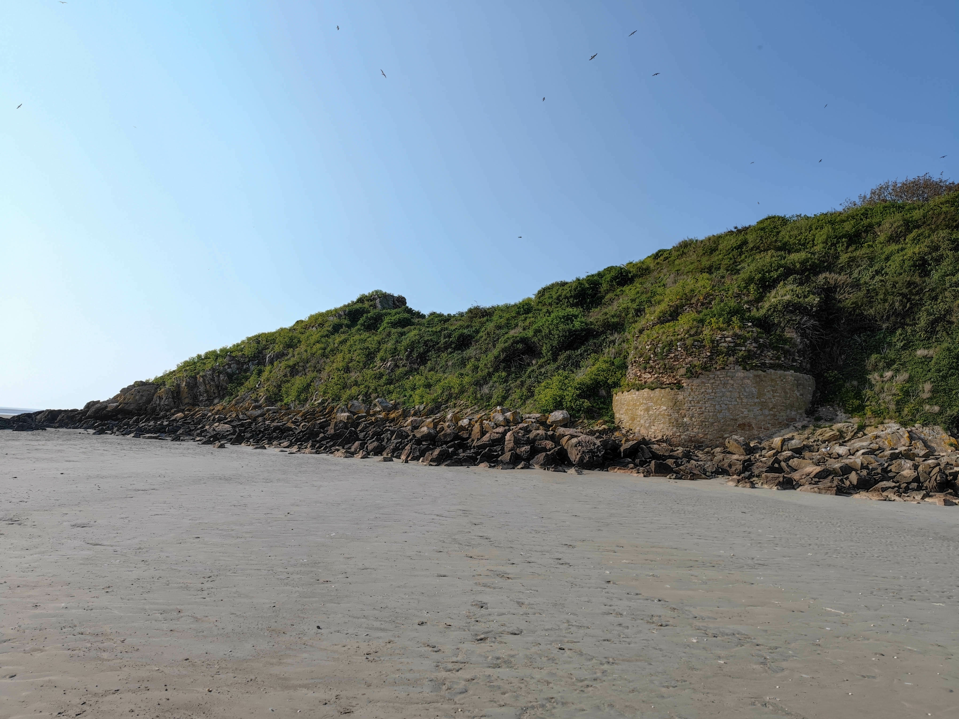 Rando PIGOCHI (picorer)