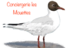 Conciergerie Les Mouettes