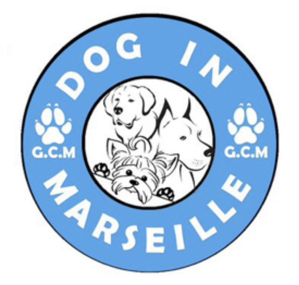Logo Dog In Marseille