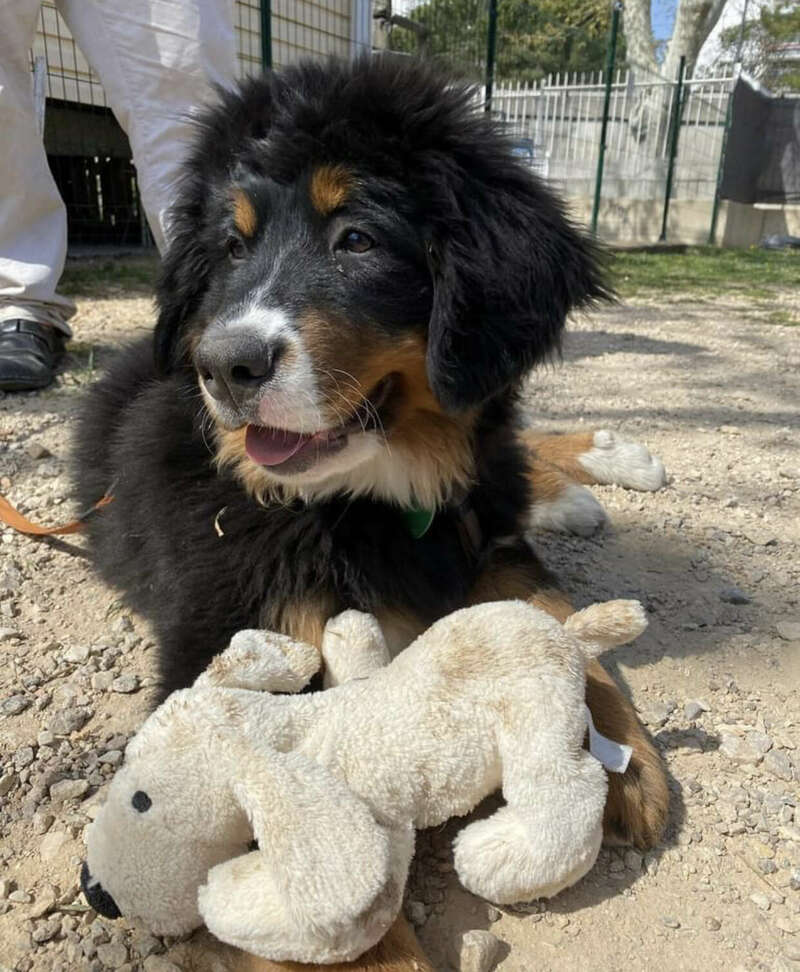 img_343820230724-2903801-1mqjec9