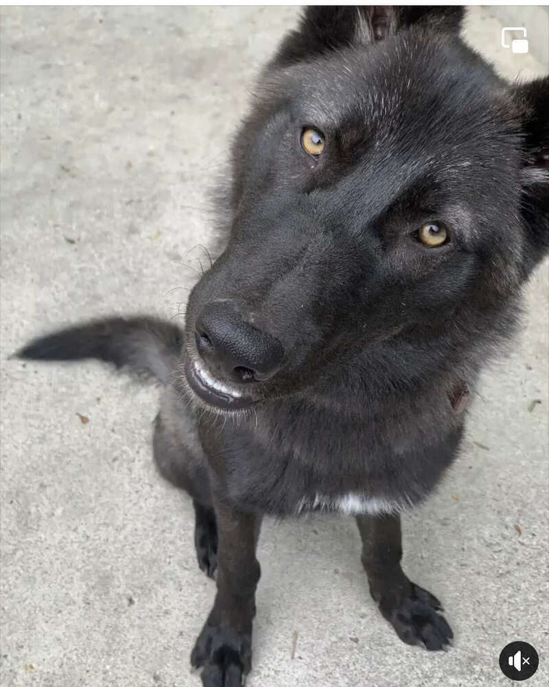 img_276820230724-2903801-14vg2ek