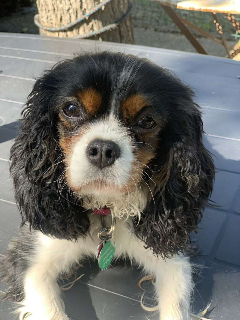 img_334220230724-2903801-1ixa8oe