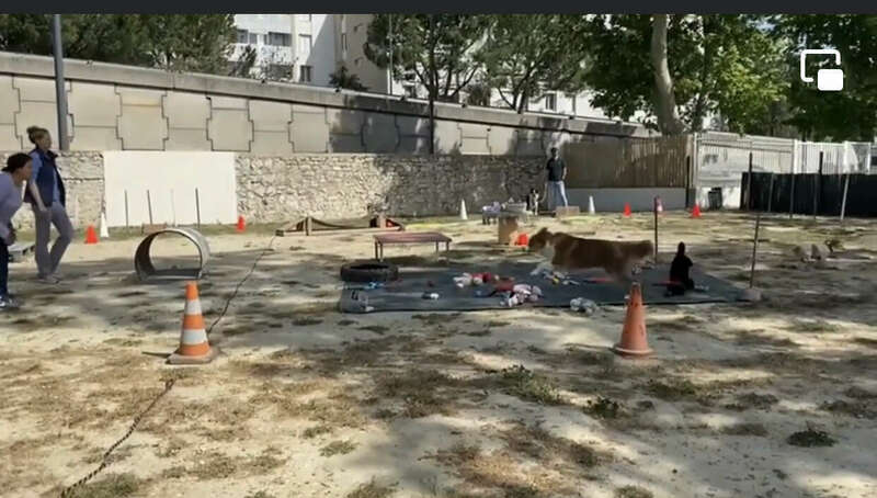 img_344820230724-2898779-f1qcvn