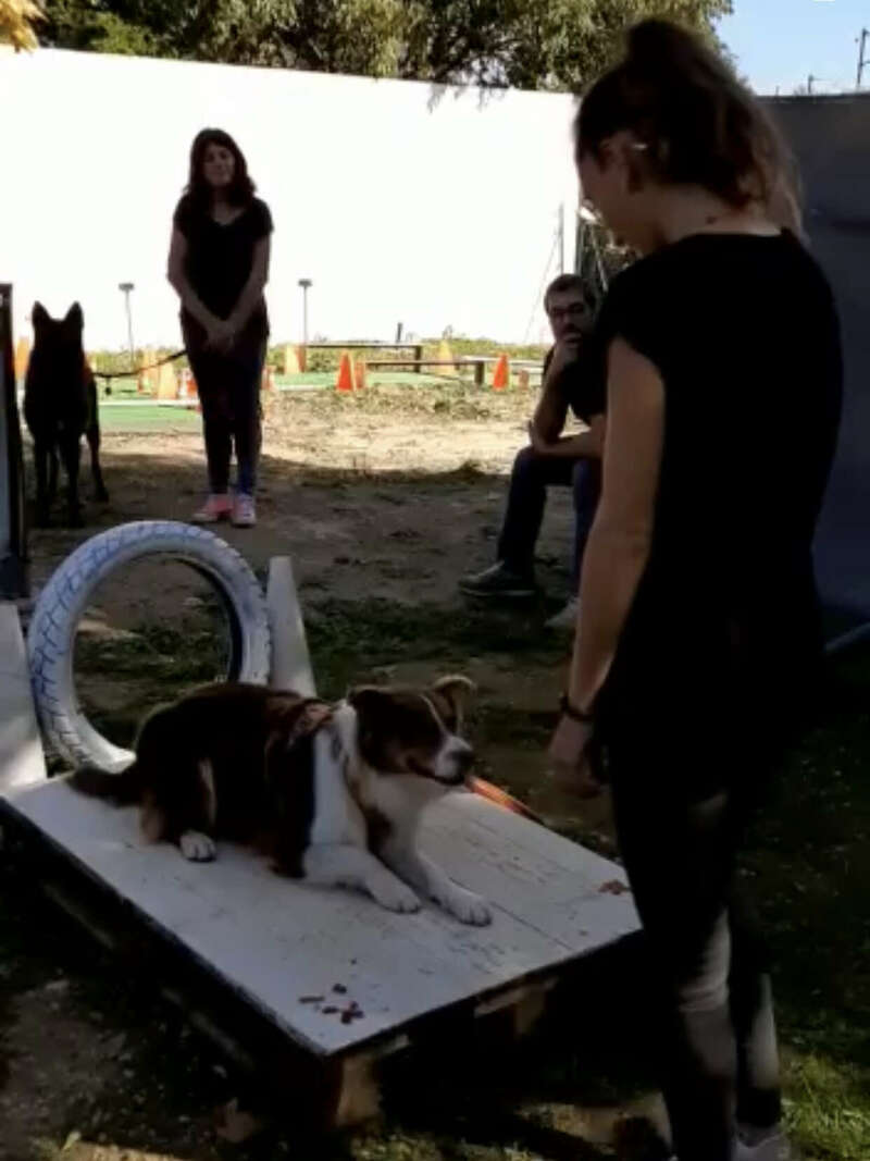 img_345020230724-2898779-lr11a1