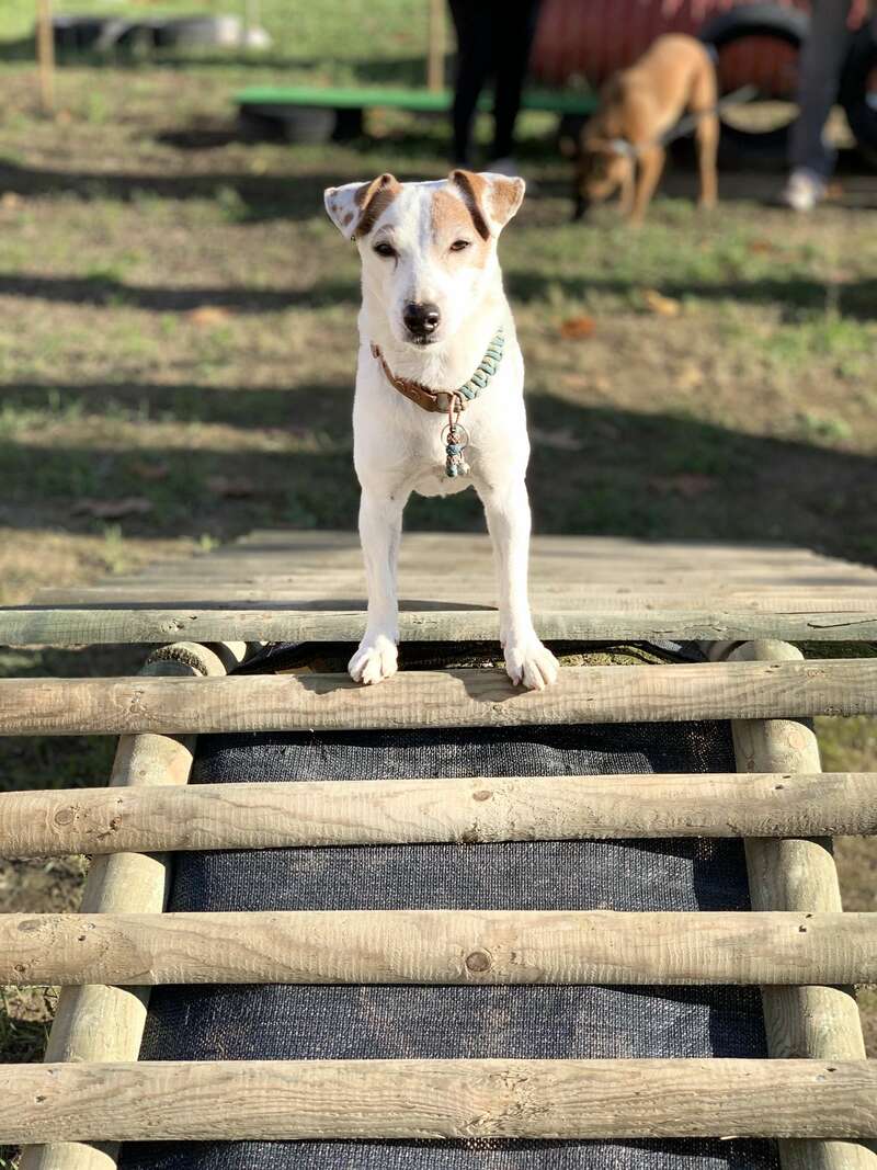 img_216120230724-2898779-1amkepq