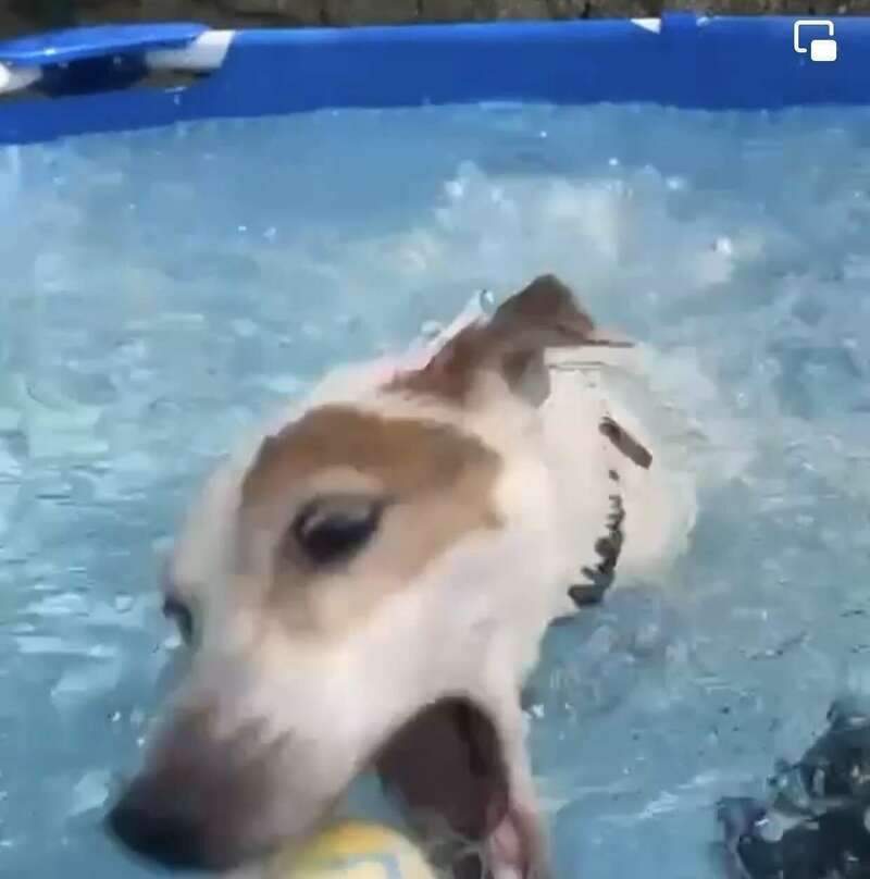 img_344520230724-2898779-k4nzba