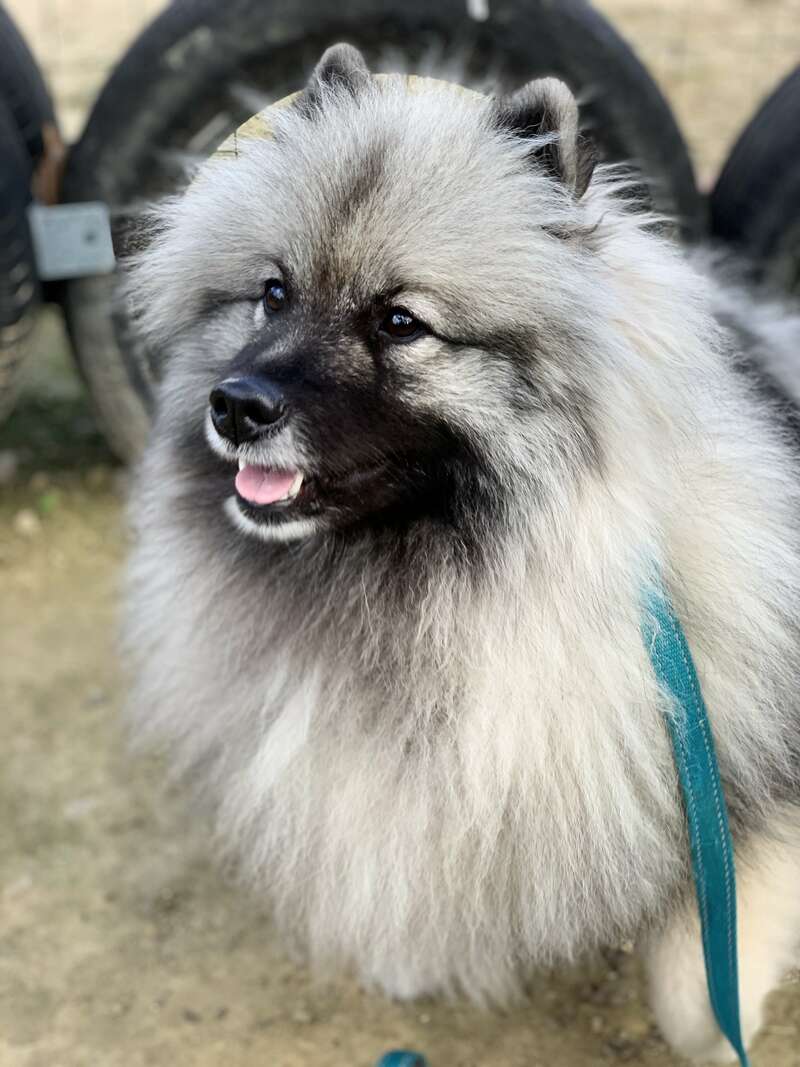 img_225720230724-2898779-1nsertq