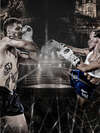FIGHT NIGHT ONE FIDUCIAL ASTERIA