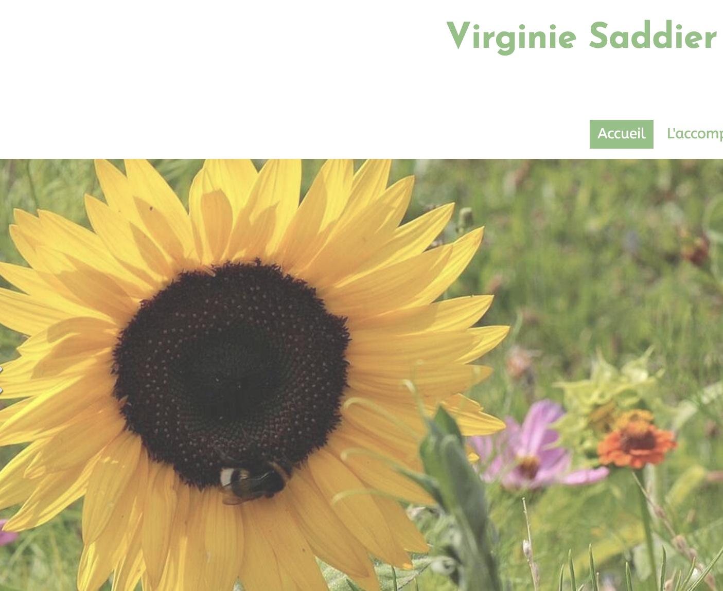 Virginie Saddier