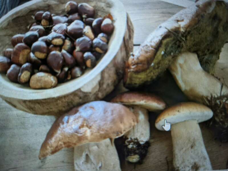 pxl_20211003_174535963_2