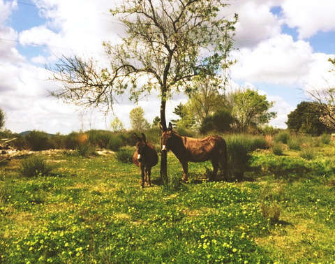 Le dernier jour d’une confinée