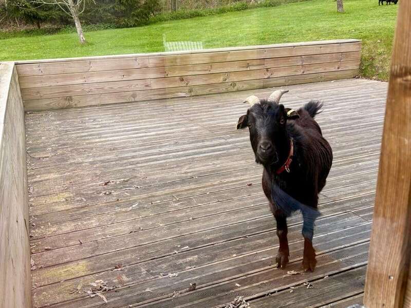 7e12494c-75e5-4224-bb74-7231ab8fe74d