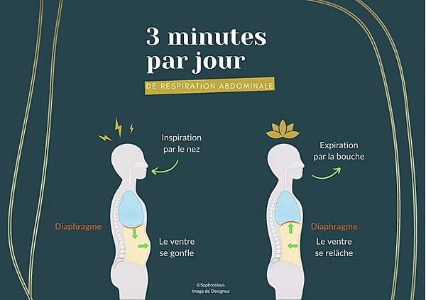 Le pouvoir de la respiration abdominale : 3’ par jour pour commencer à transformer votre quotidien