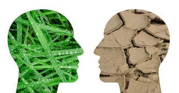 SAUVE QUI PEUT LA TERRE !