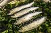 sardine omégas 3