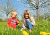 cueillir plantes sauvages