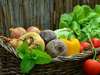 Alimentation vivante fruits legumes de saison
