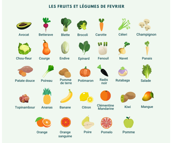 FRUITS ET LEGUMES DU MOIS DE FEVRIER