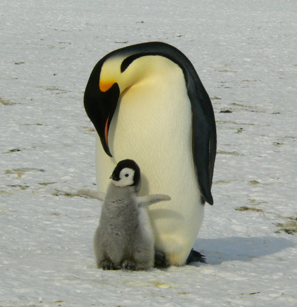 EFT et connexion - Seconde partie