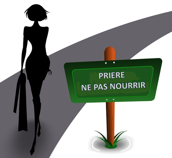 Lettre d'Informations N° 2 