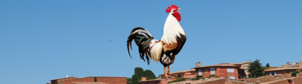 L’EFT et le Coq Exaspérant