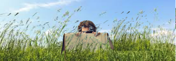 Un cas d’EFT pour Agoraphobie et d’Attaques de Panique