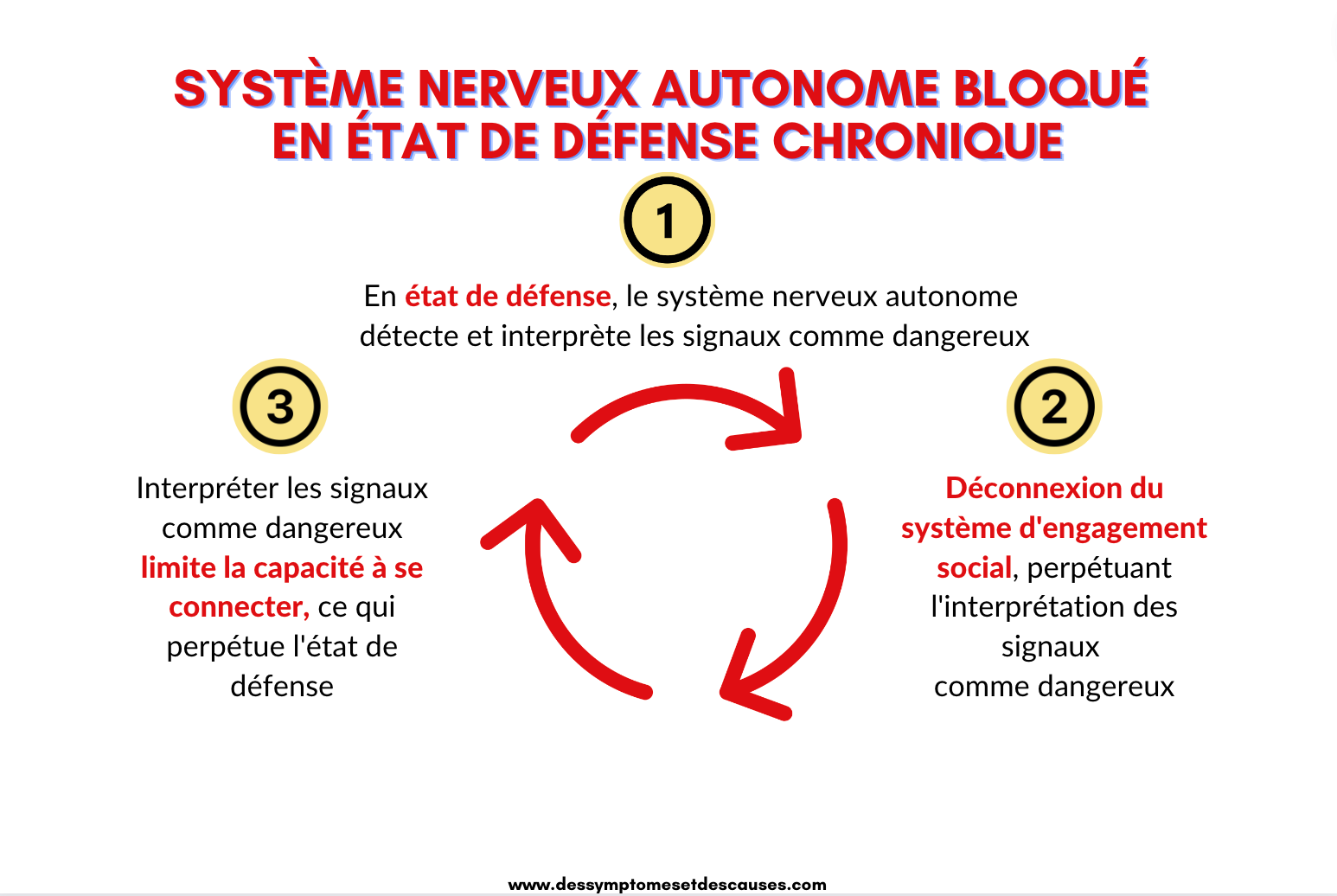 Système Nerveux Autonome En état De Défense Chronique 6225