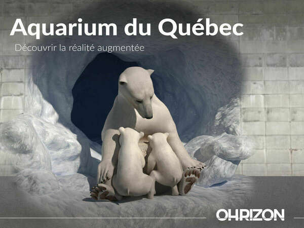 Découvrez les ours blancs avec la réalité augmentée à l'Aquarium de Québec