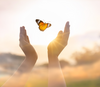 papillon émergeant d'une chrysalide, symbolisant la transformation personnelle