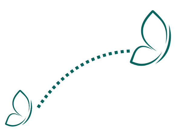 contactez-moi pour discuter de votre projet webdesign