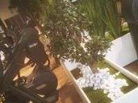 80553709_154566979217877_63354551482187776_n