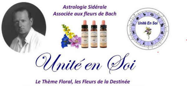 Pourquoi un thème floral ?  :  donner un sens à sa vie