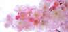 Fleurs de Bach et douleurs articulaires