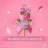 Ruban rose et rose symbole Octobre Rose cancer sein