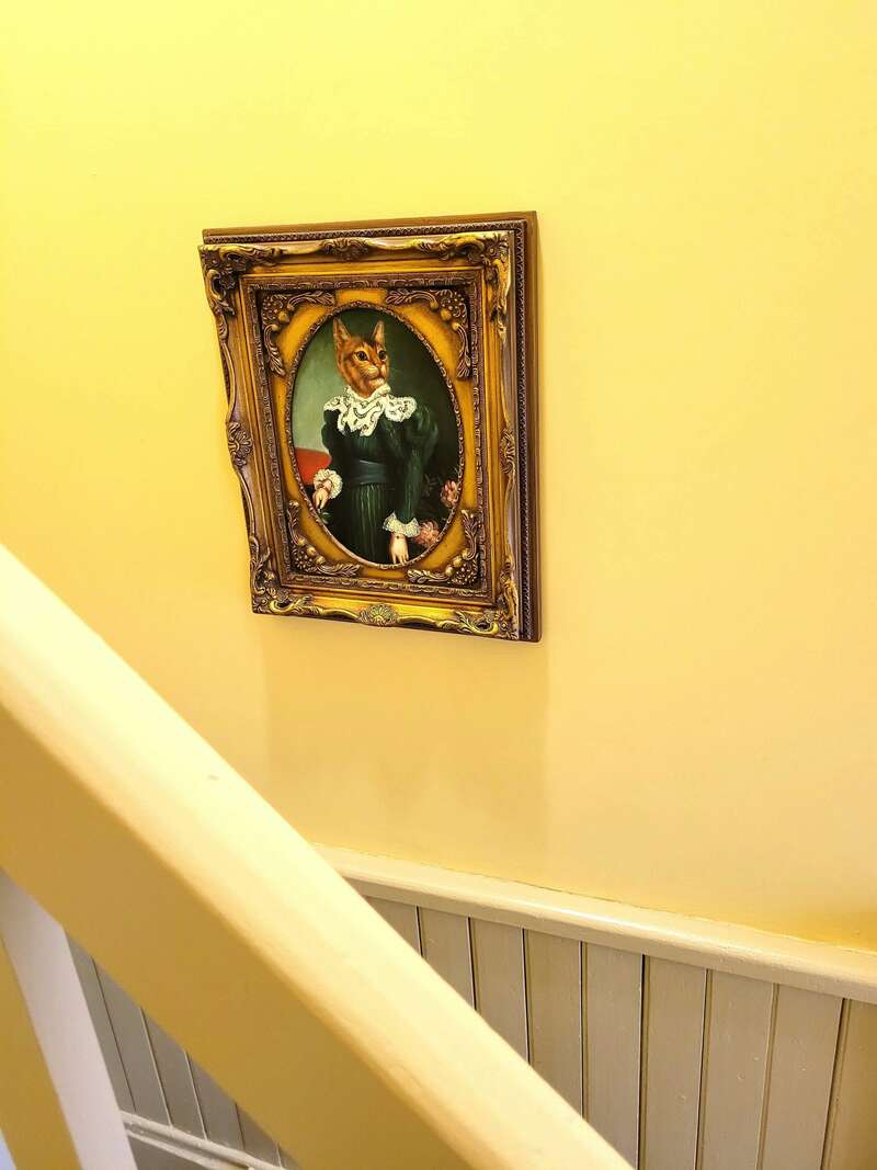 20221202_11115520221207-5052-1cui2n7