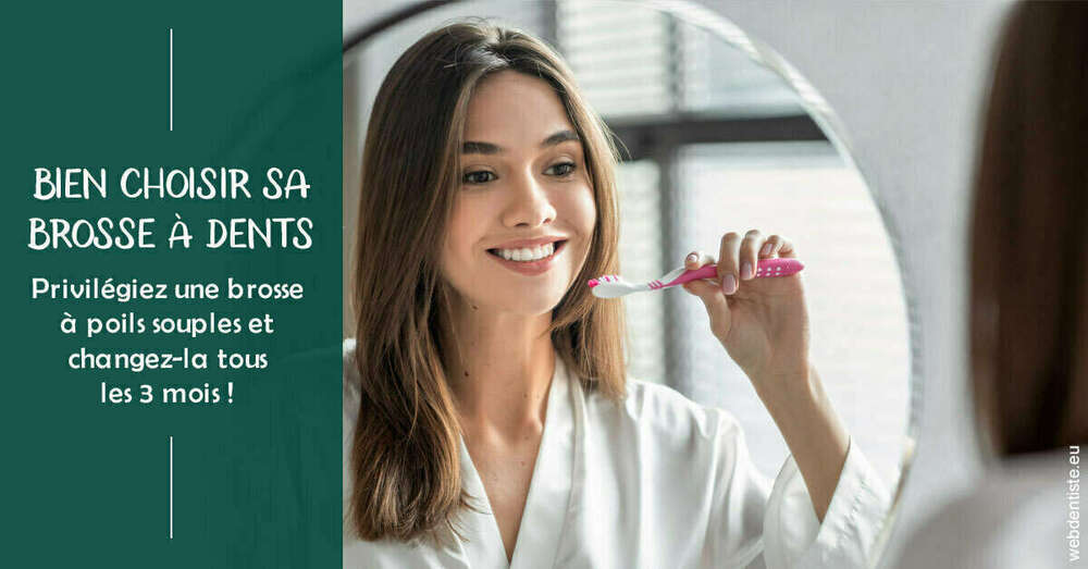 Bien choisir sa brosse