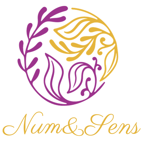 Logo Num&Sens