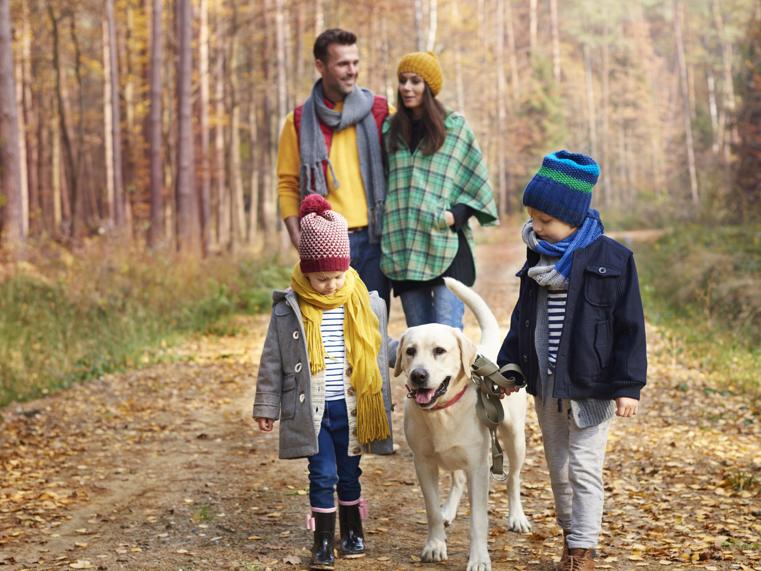 Tous patients de la chiropraxie