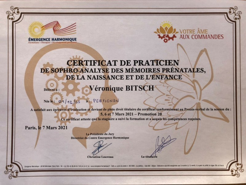 sophro-analyste20211230-927961-15y0opj20220110-68173-138q184