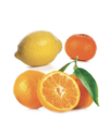 Hypnose citrus bliss 2