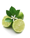Hypnose citron vert 2