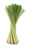 Hypnose citronella 2