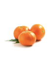Hypnose tangerine 2
